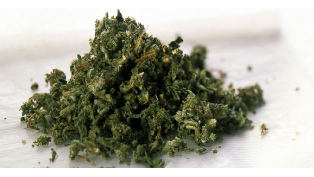 Cómo triturar marihuana sin un grinder - Cómo hacer tu propio grinder